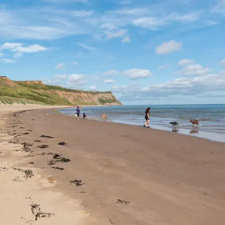 Walk Skinningrove